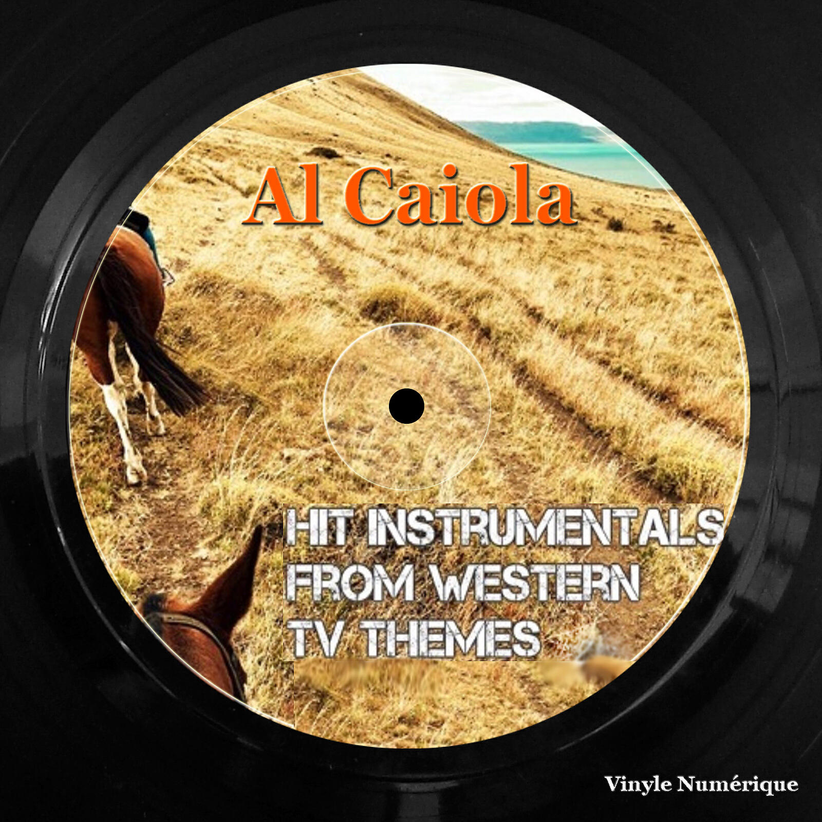 Релиз Hit Instrumentals from Western Tv Themes