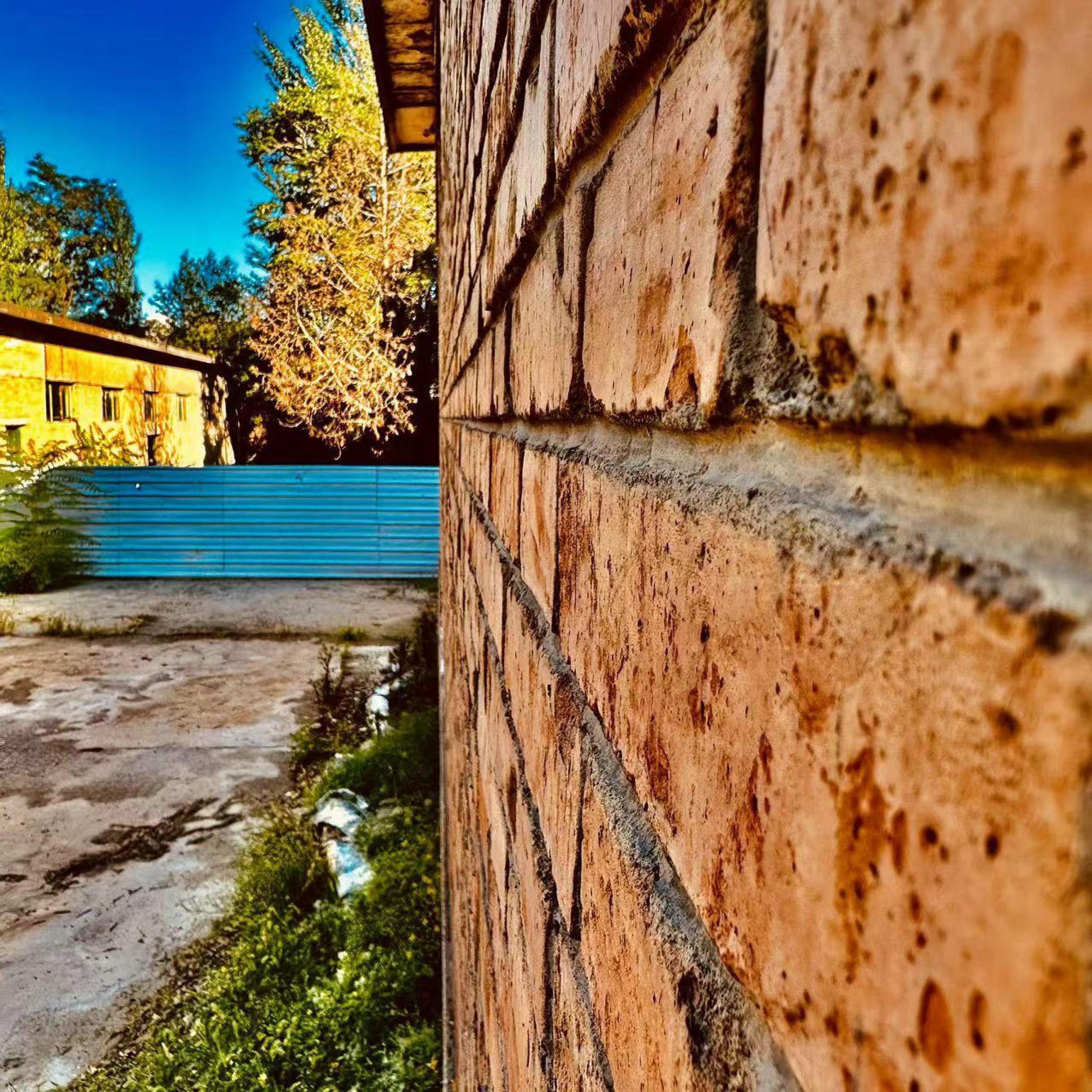 Релиз 工地雷鬼