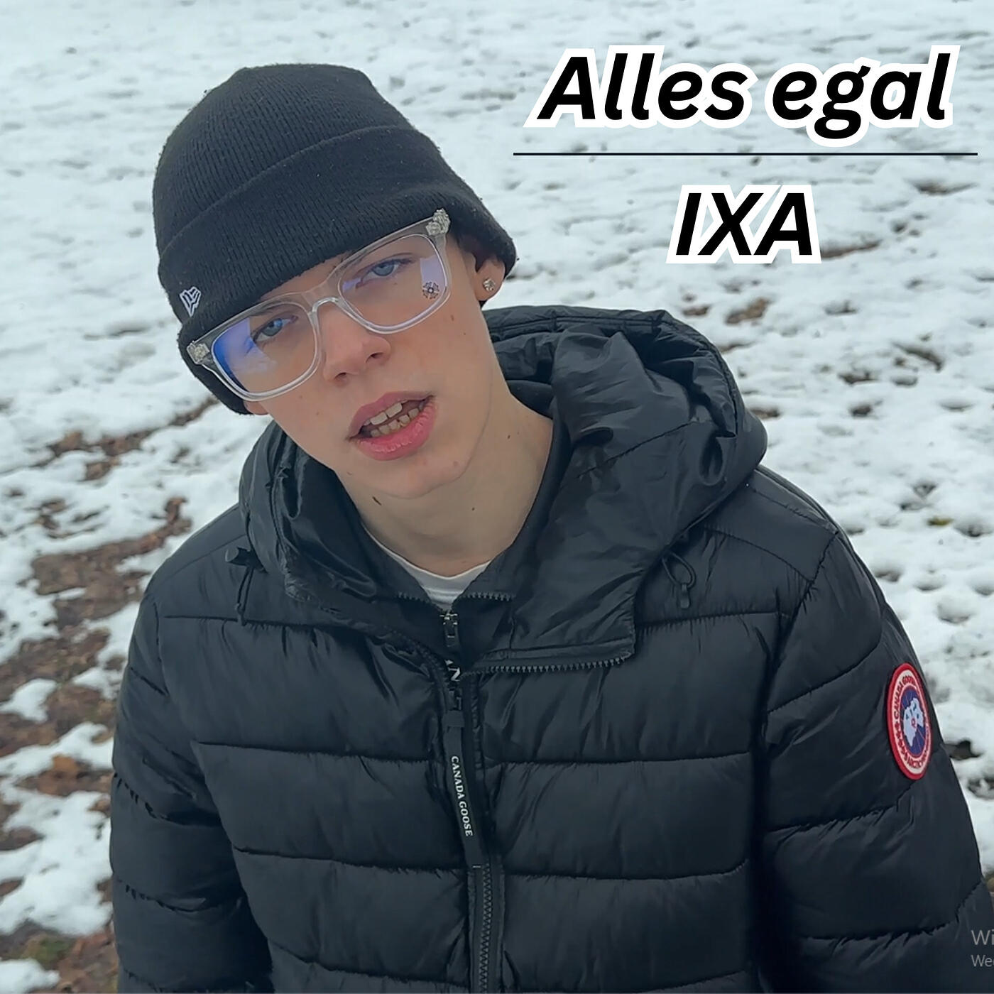 Релиз Alles Egal