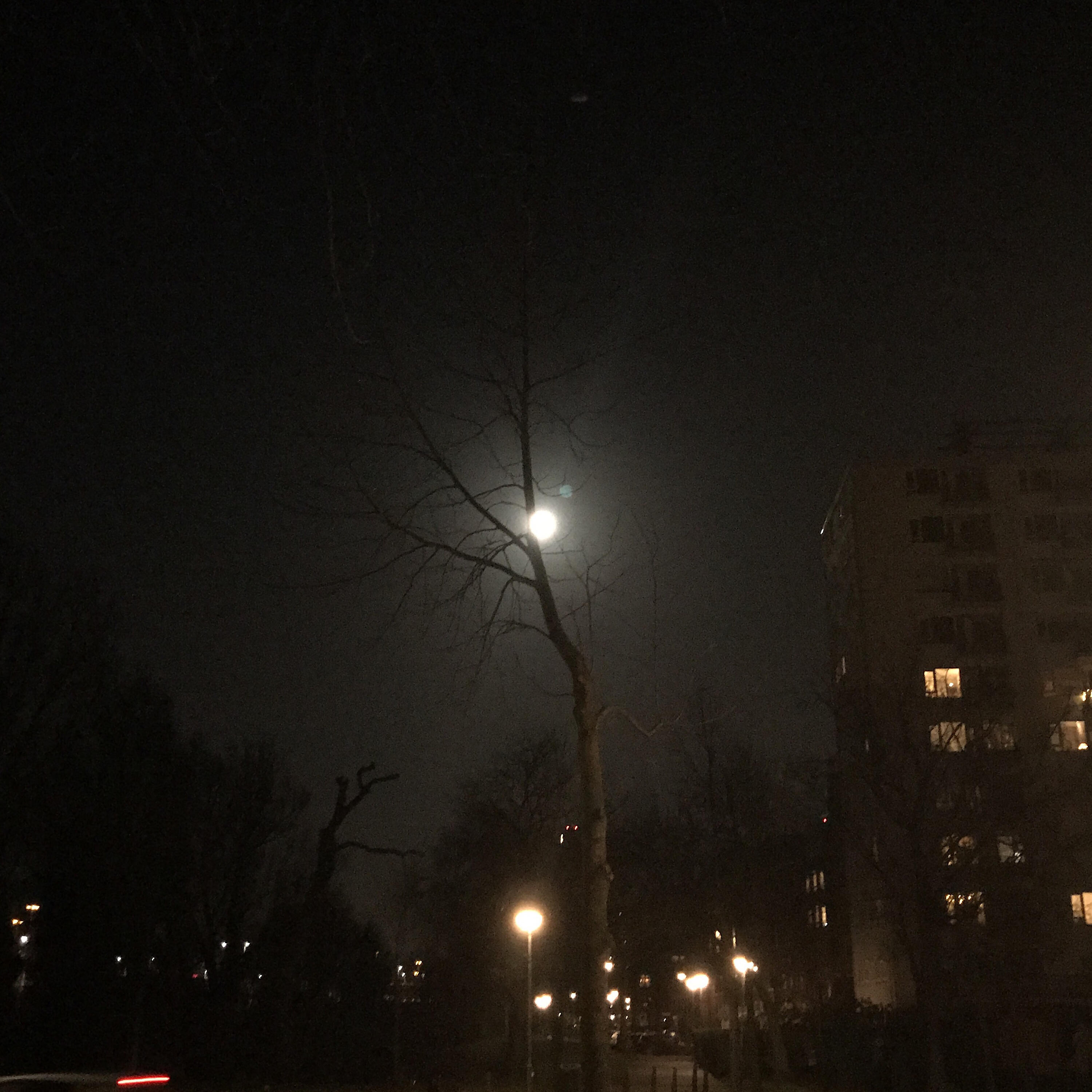 Ilya Ziblat Shay