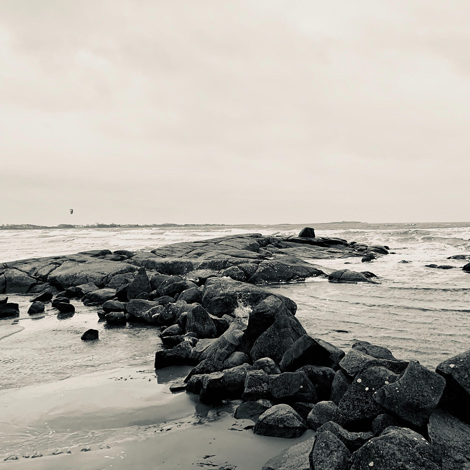 Релиз Sea Sounds: canciones por debajo del agua