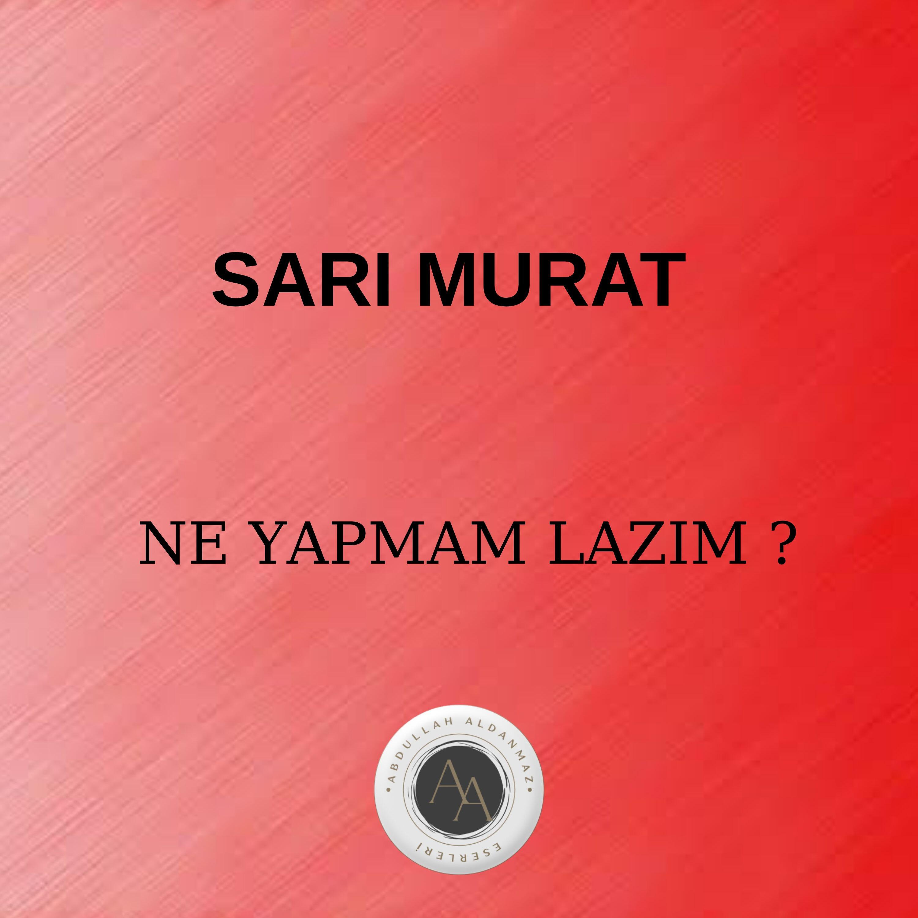 Релиз Ne Yapmam Lazım