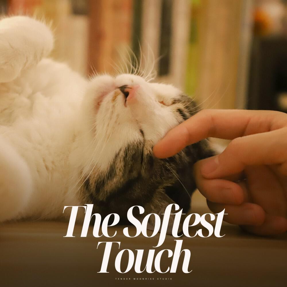 Релиз The Softest Touch