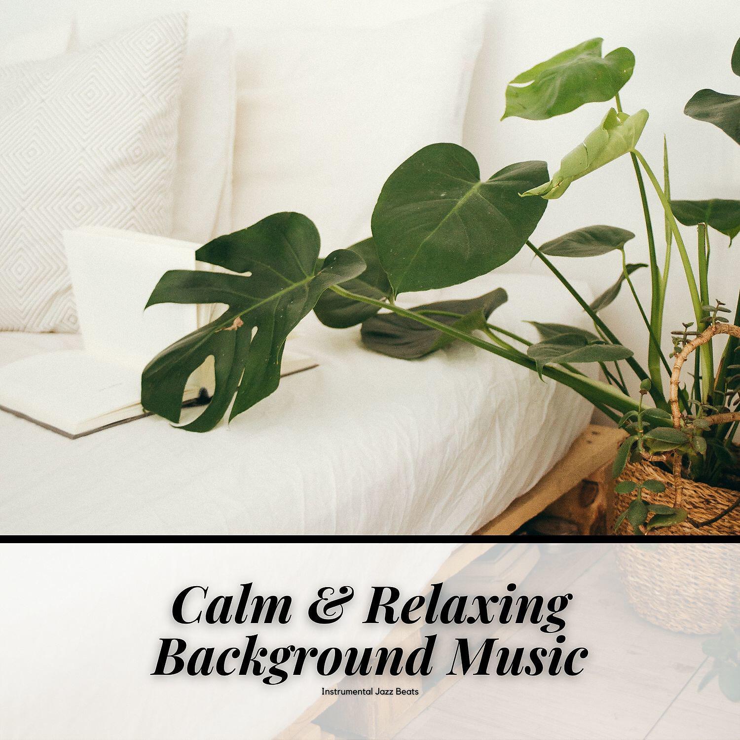 Релиз Calm & Relaxing Background Music