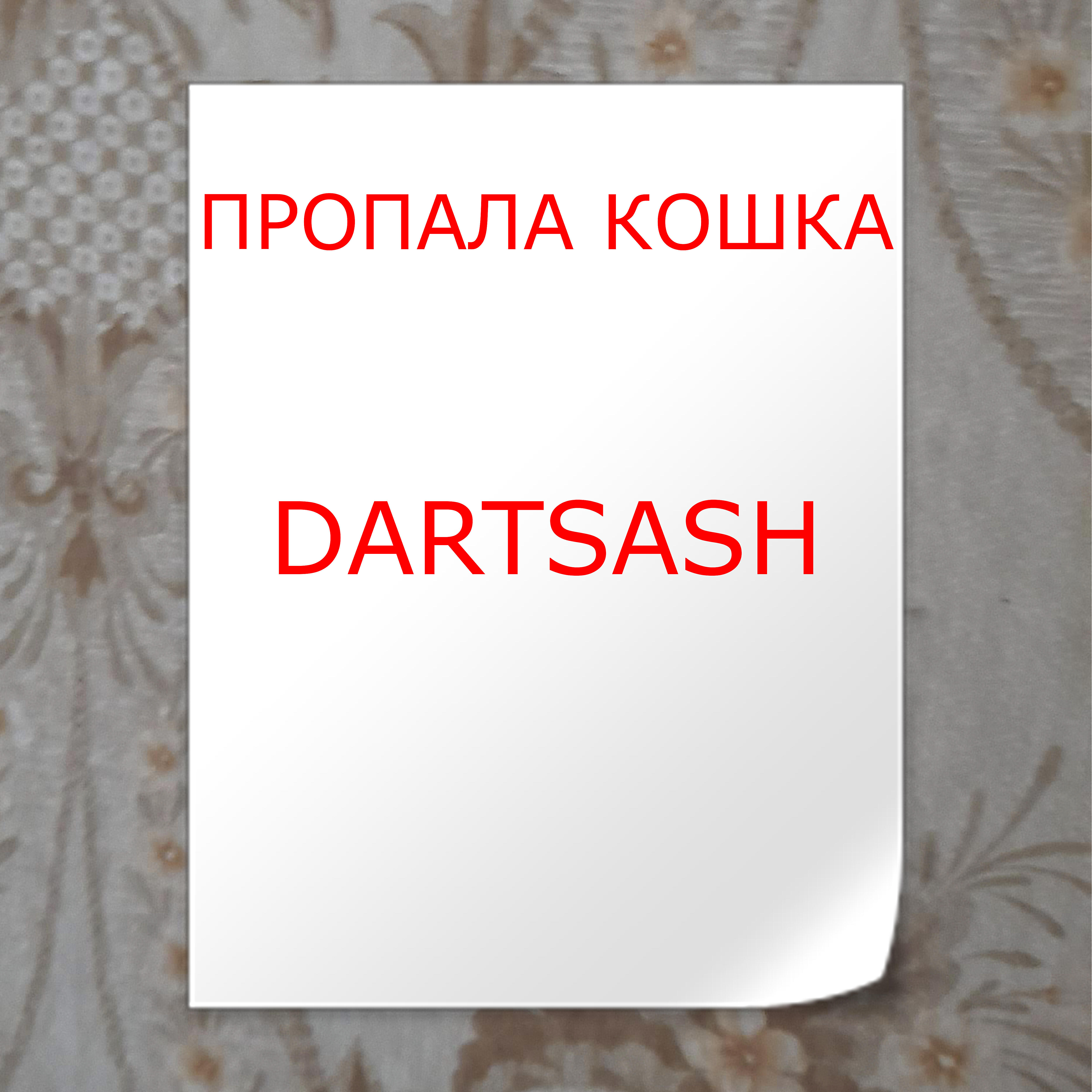 Релиз Пропала кошка
