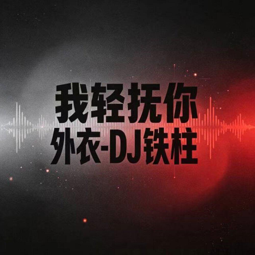 Релиз 我轻抚你外衣