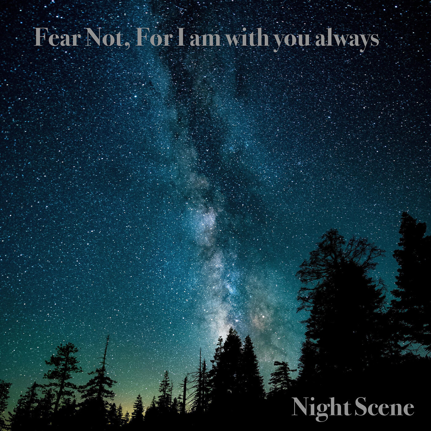 Релиз Night Scene