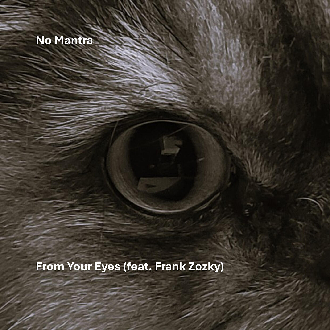 Релиз From Your Eyes