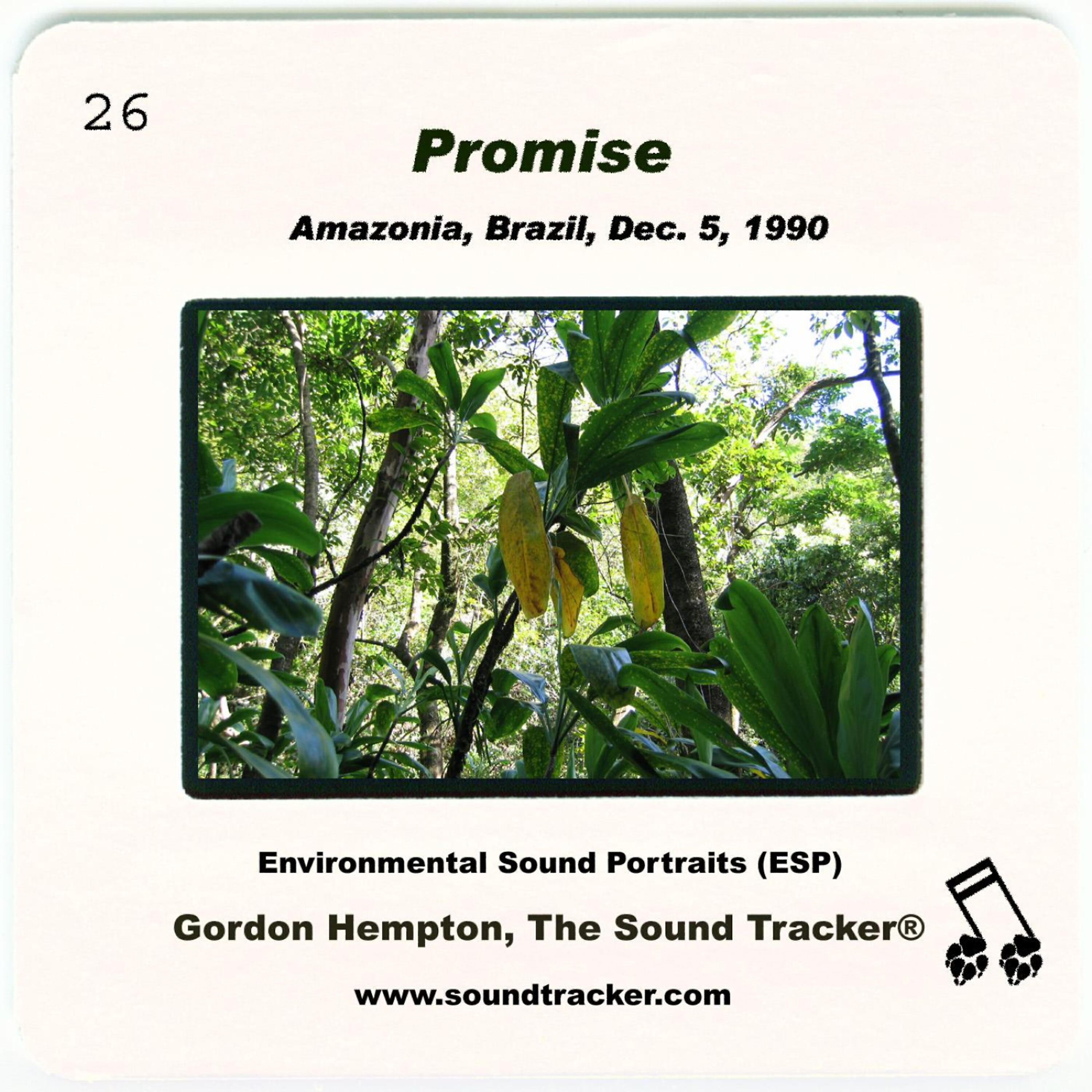 Релиз Promise
