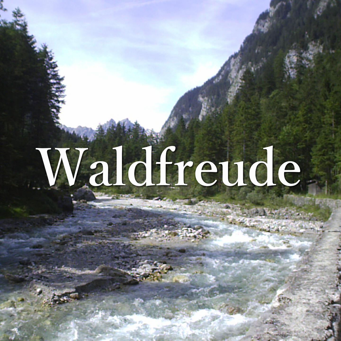Релиз Waldfreude