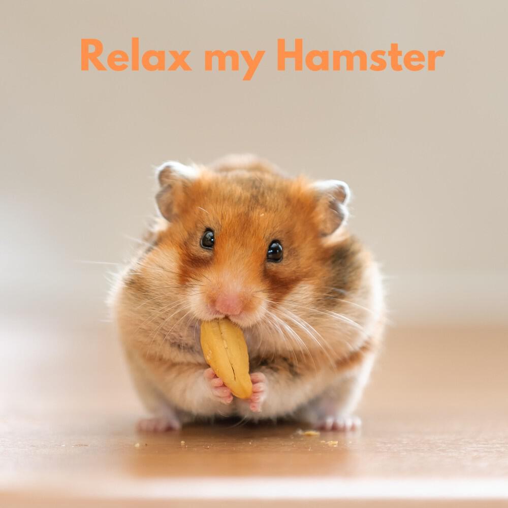 Релиз Relax My Hamster Vol. 2