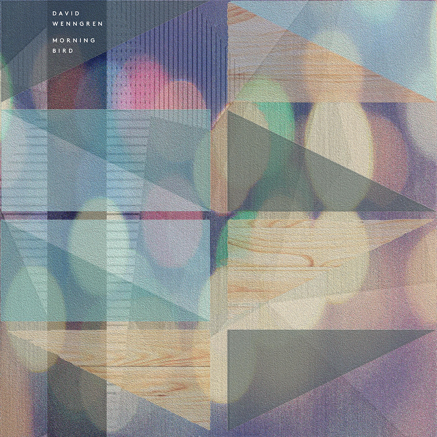 Релиз Morning Bird