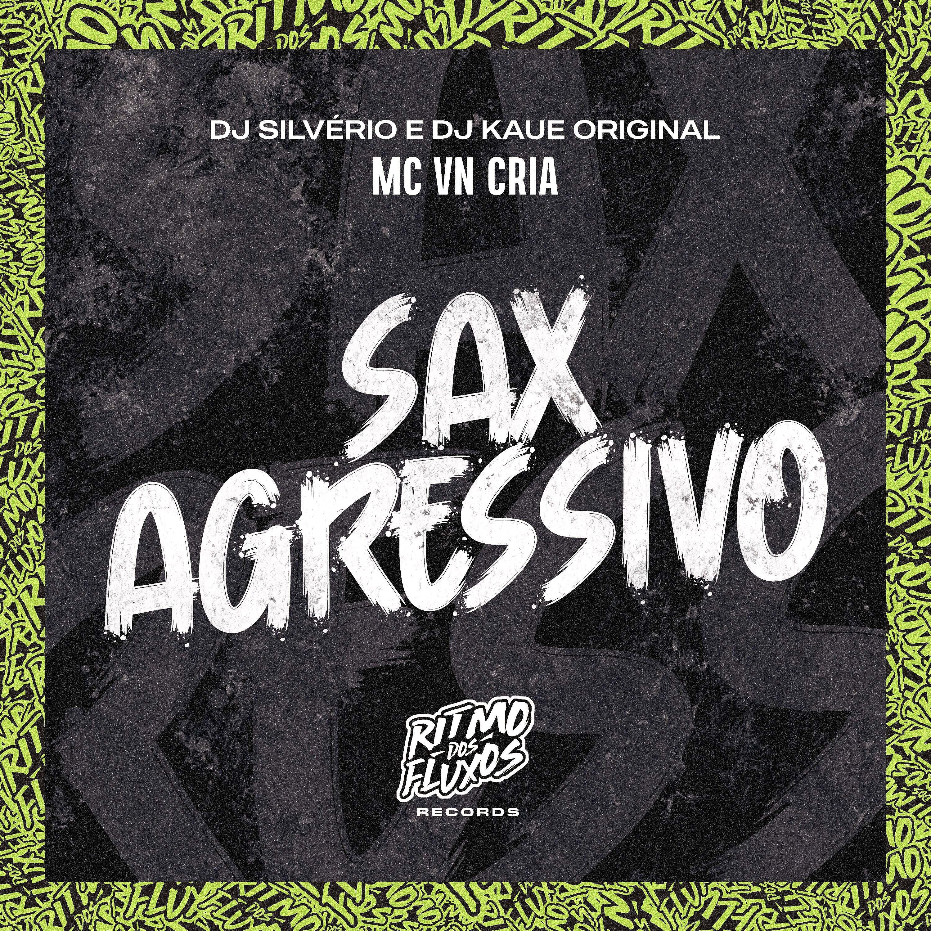 Скачать песню MC VN Cria, DJ Silvério, Dj Kaue Original - Sax Agressivo бесплатно в MP3 для Android и iOS