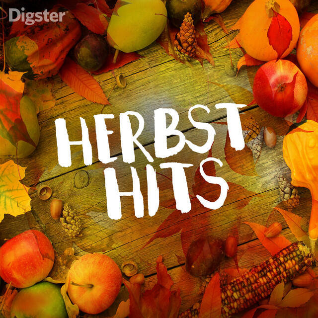 Релиз Herbst Hits 2022