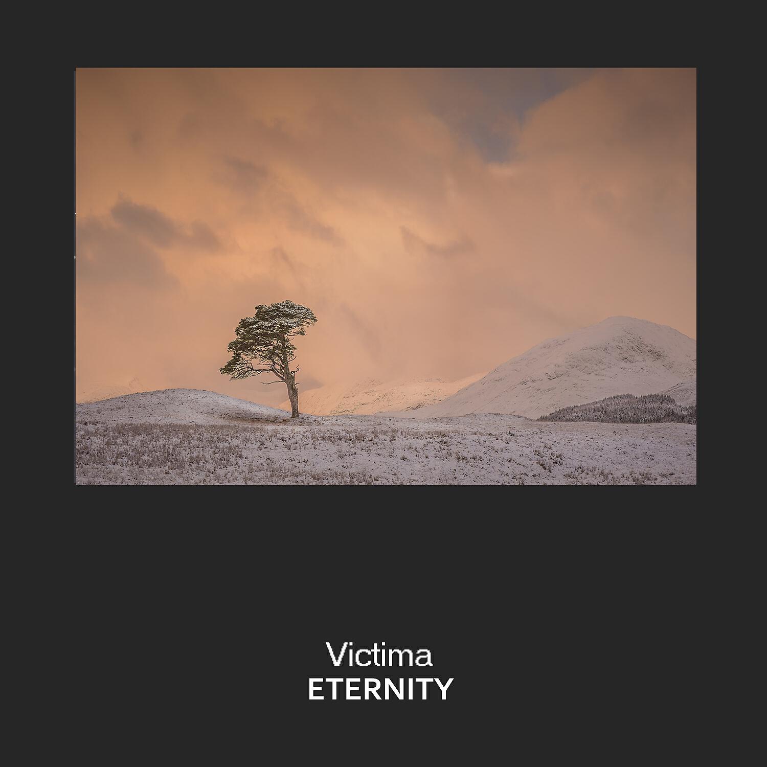 Релиз Eternity