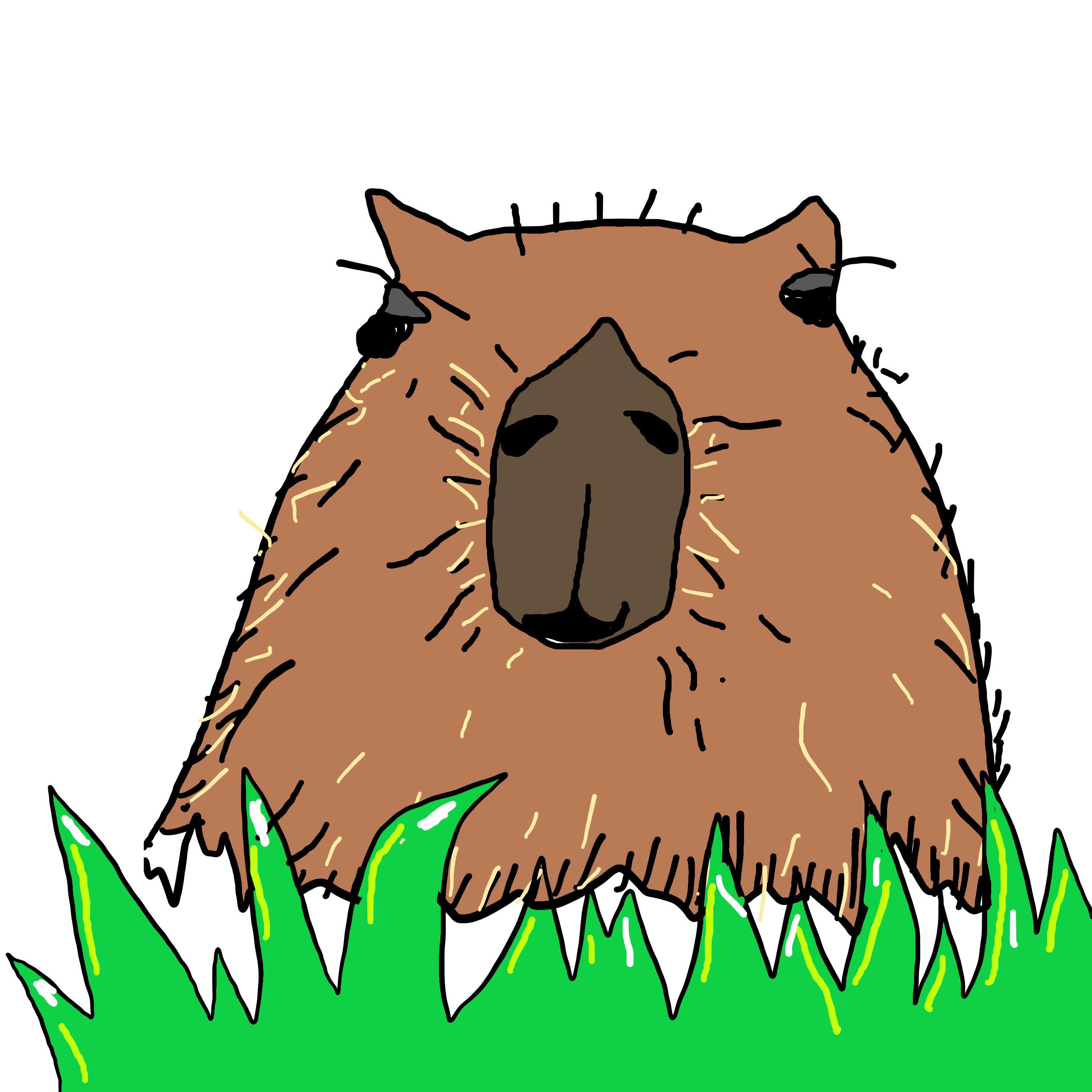 Релиз Capybara (Ok I Pull up)
