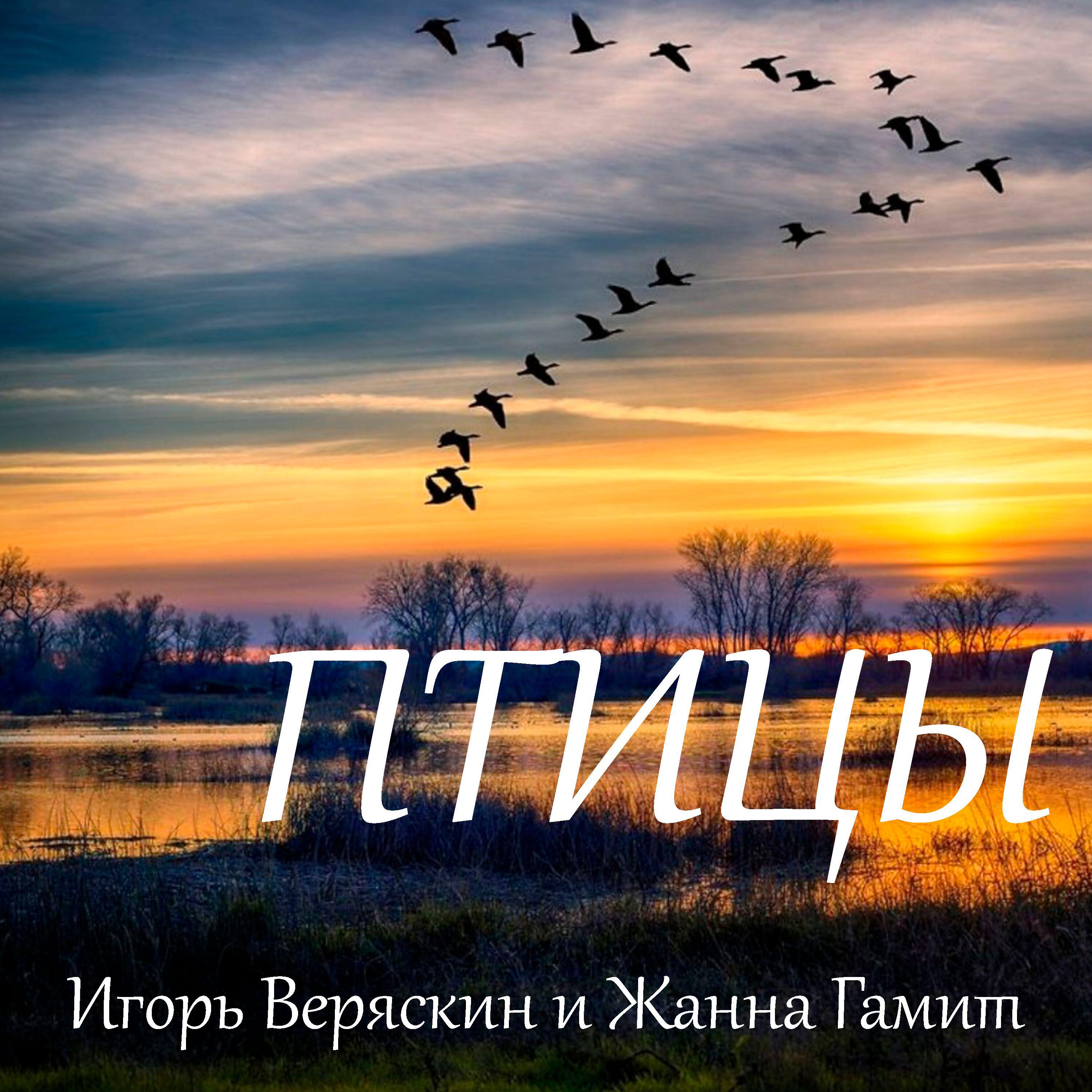 Постер альбома Птицы