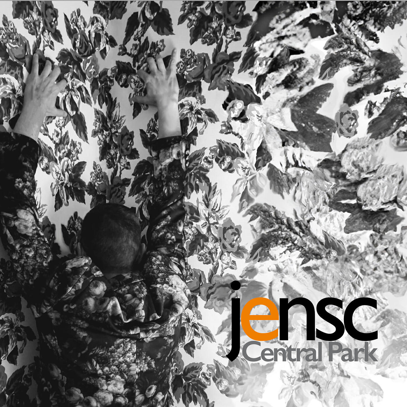 Релиз Central Park