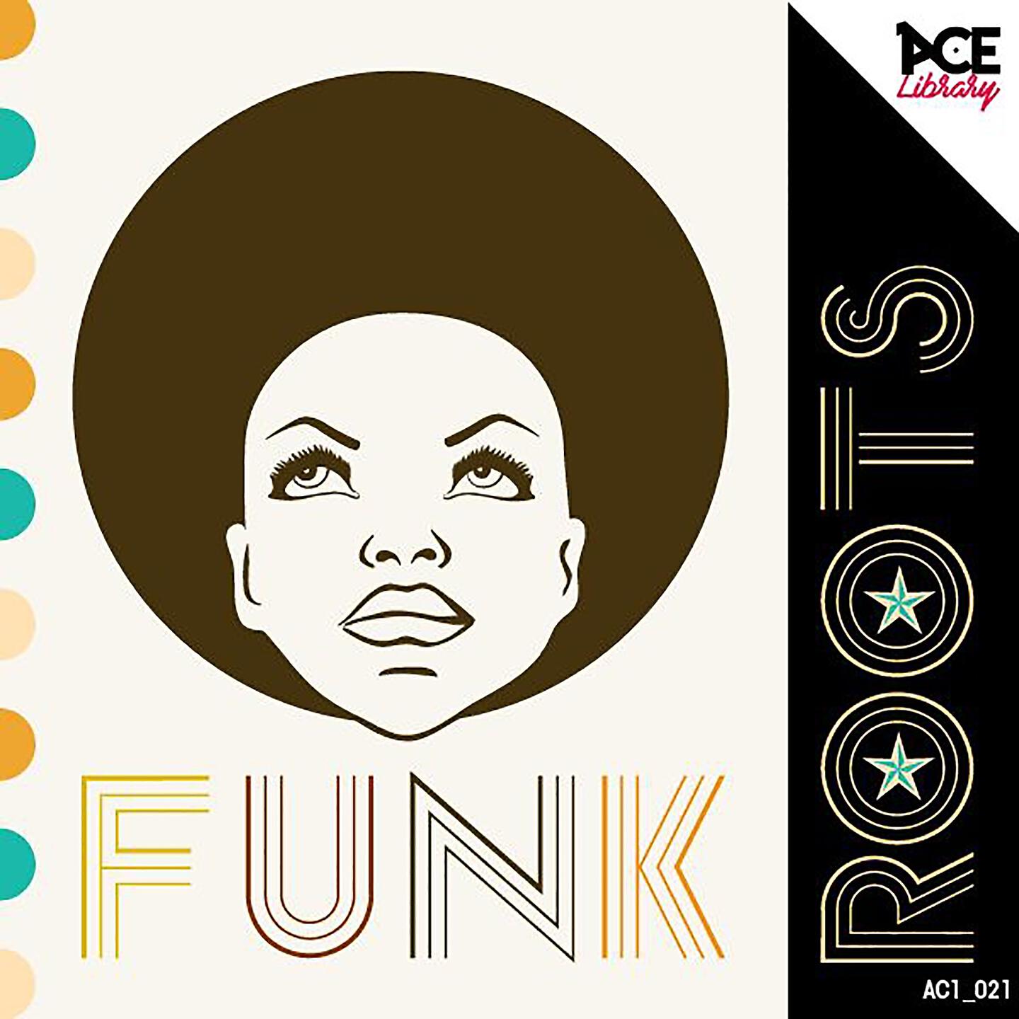 Релиз Funk Roots