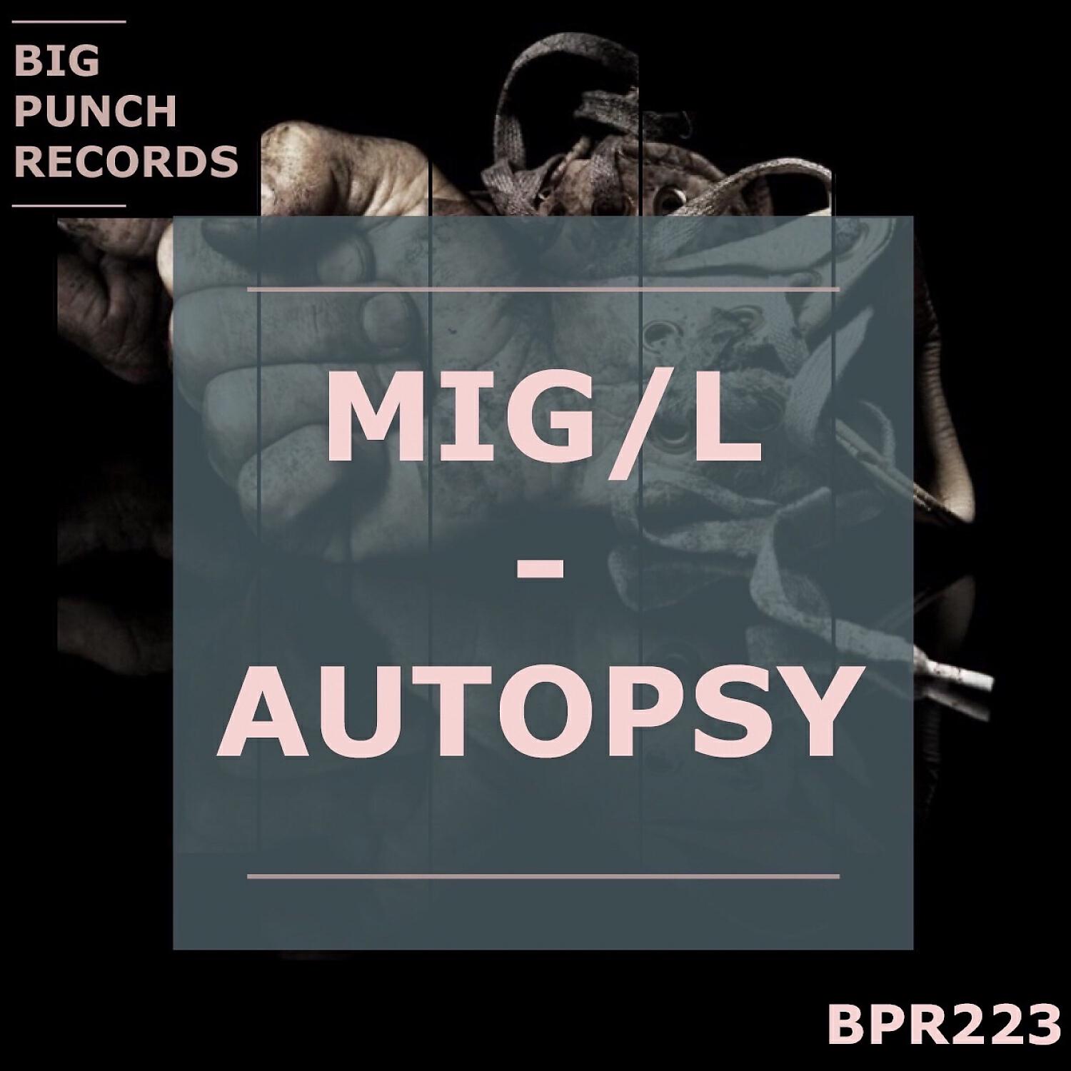 Релиз Autopsy