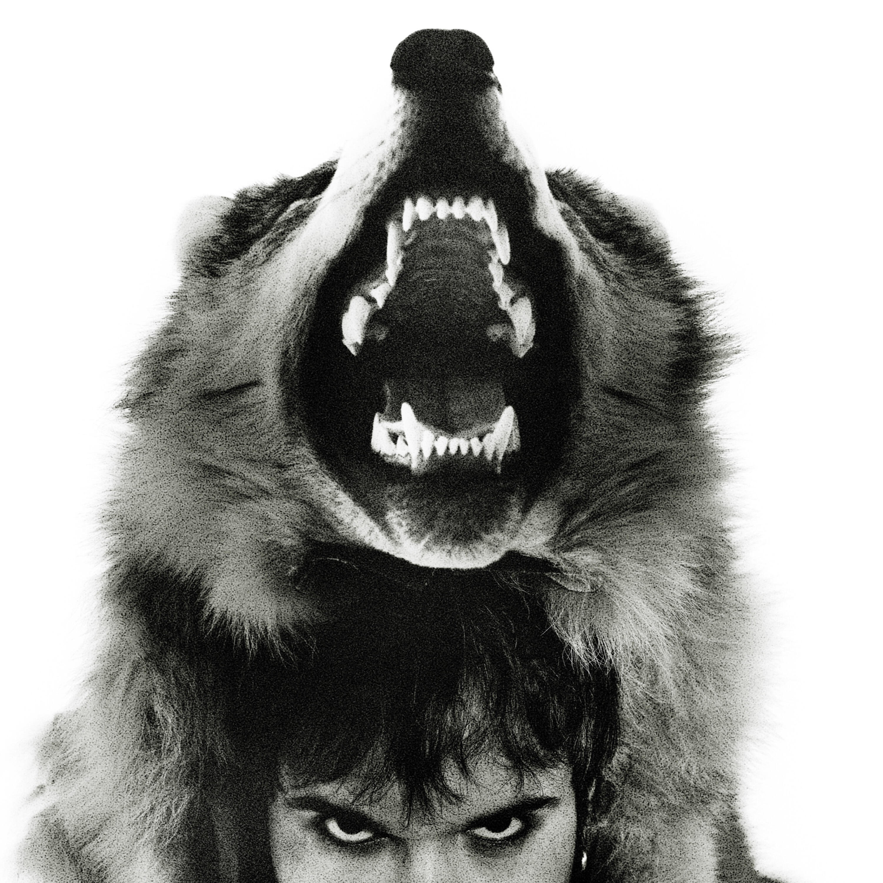 Релиз Волка кормят ноги