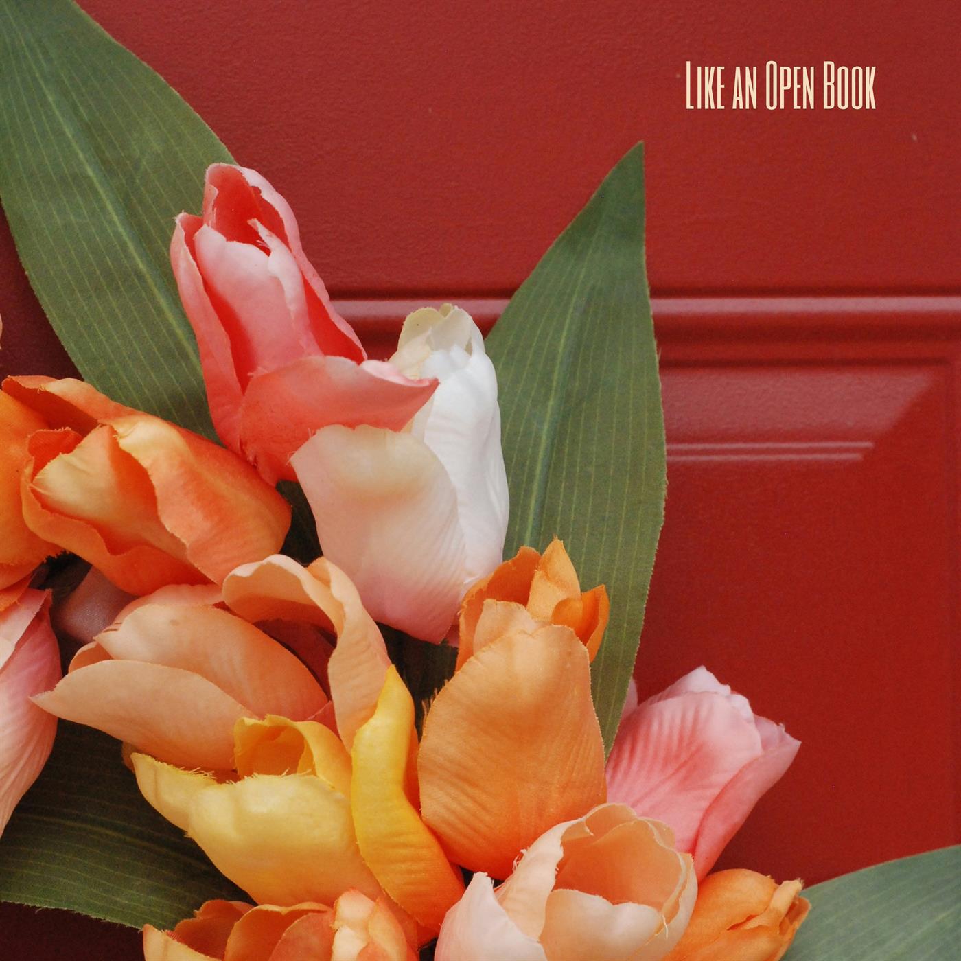 Релиз Like an Open Book