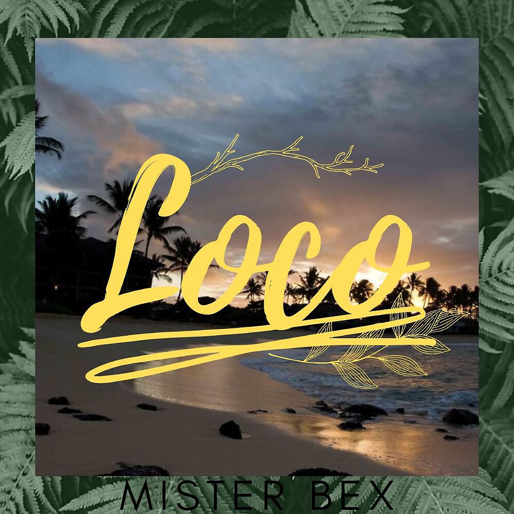Релиз Loco
