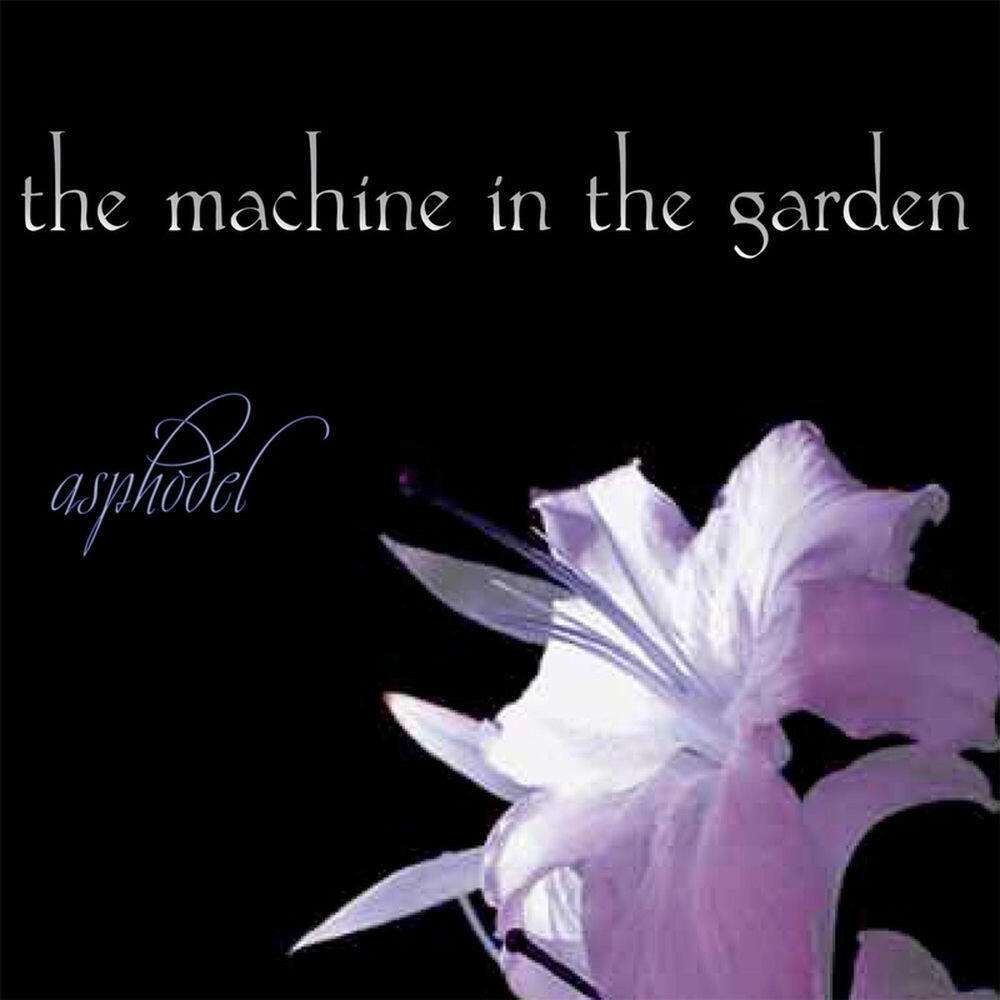 Релиз Asphodel