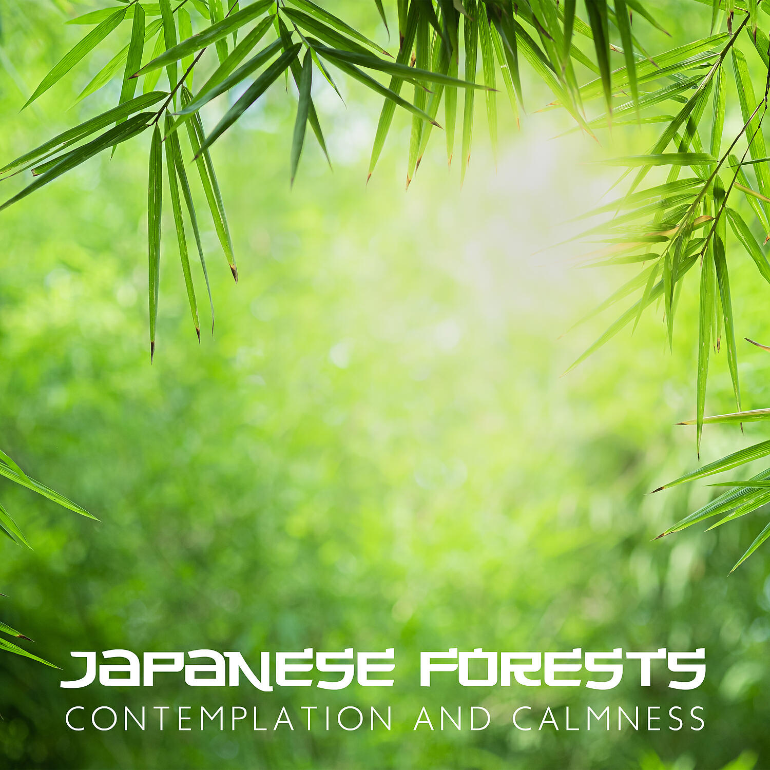 Релиз Japanese Forests: Contemplation and Calmness