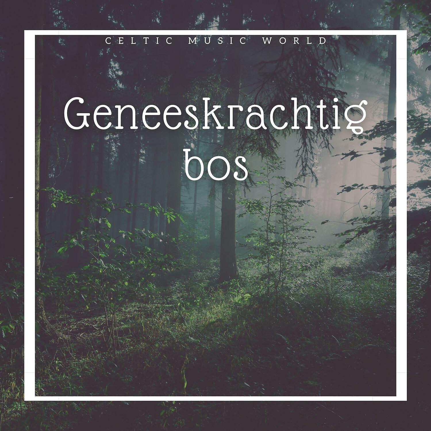 Релиз Geneeskrachtig bos - Keltische instrumentale muziek