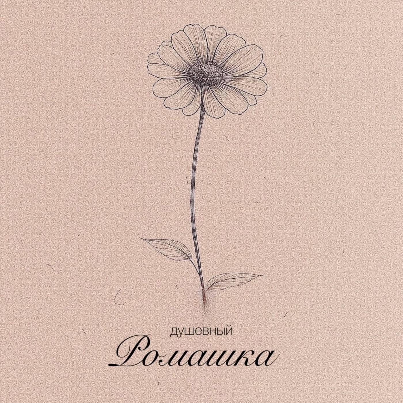 Релиз Ромашка