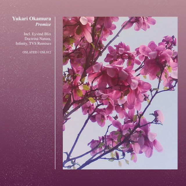 Релиз Promise