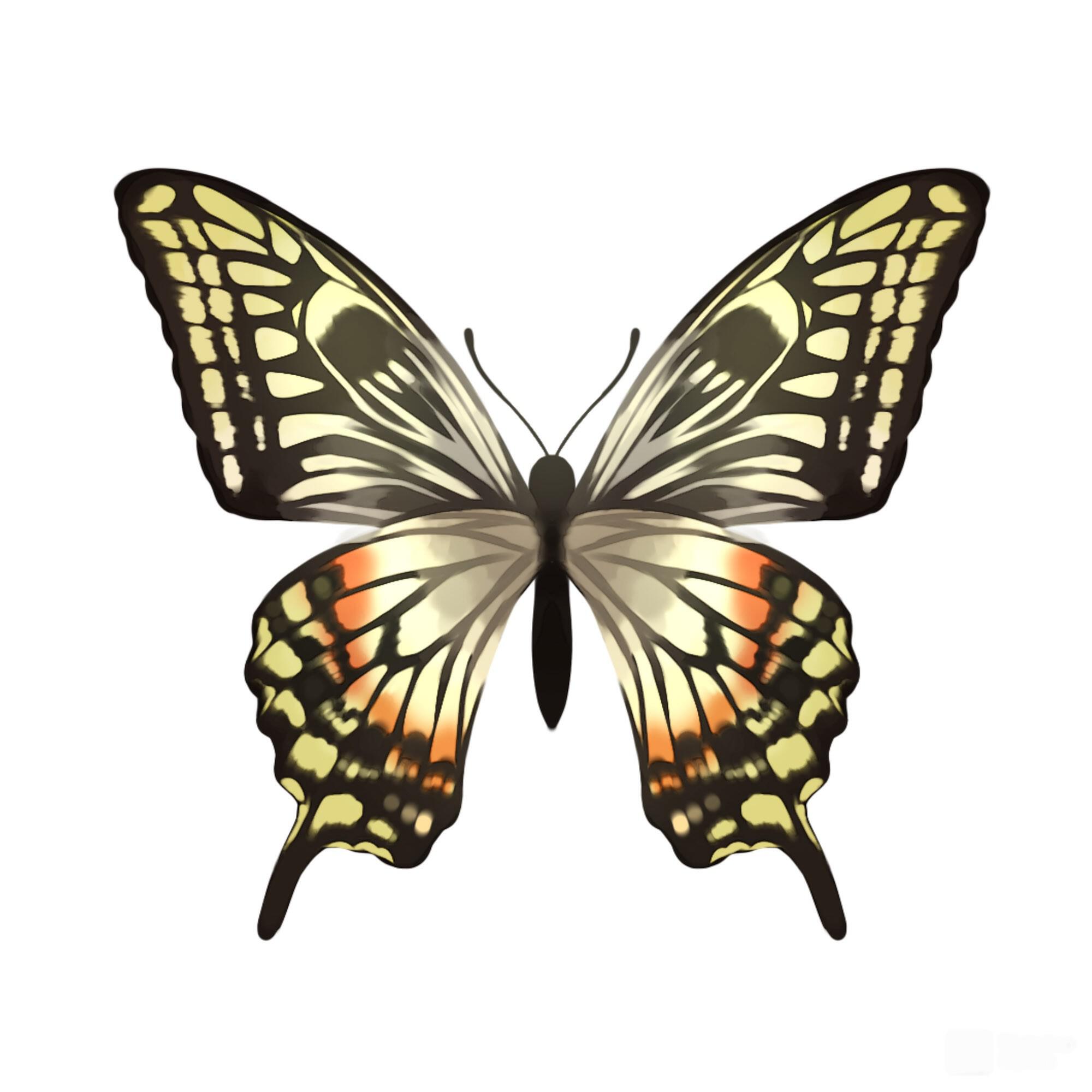 Релиз neangel