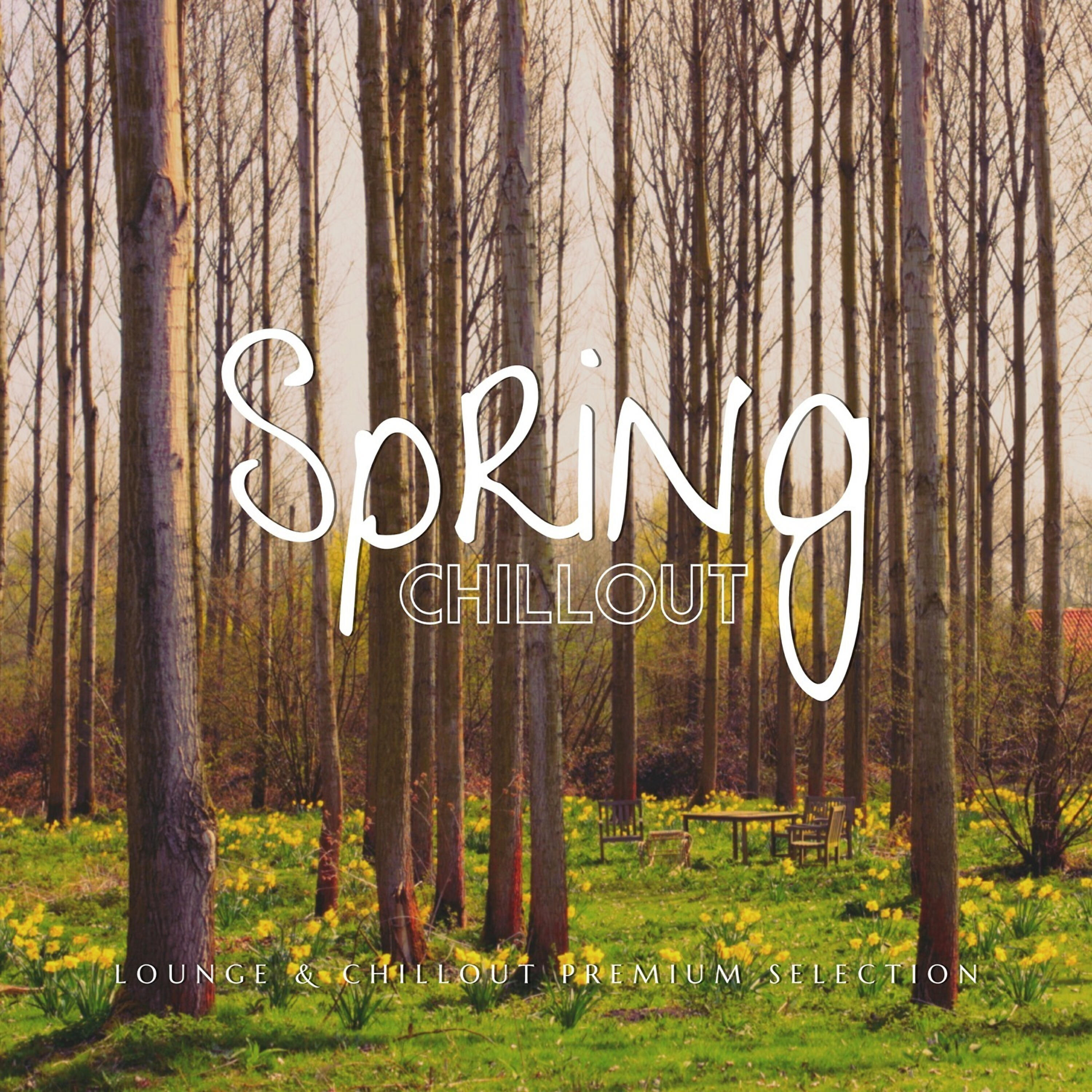 Релиз Spring Chillout (Lounge & Chillout Collection)