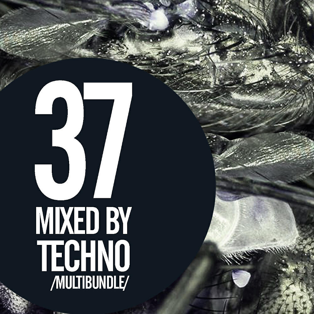 Релиз 37 Mixed By Techno Multibundle