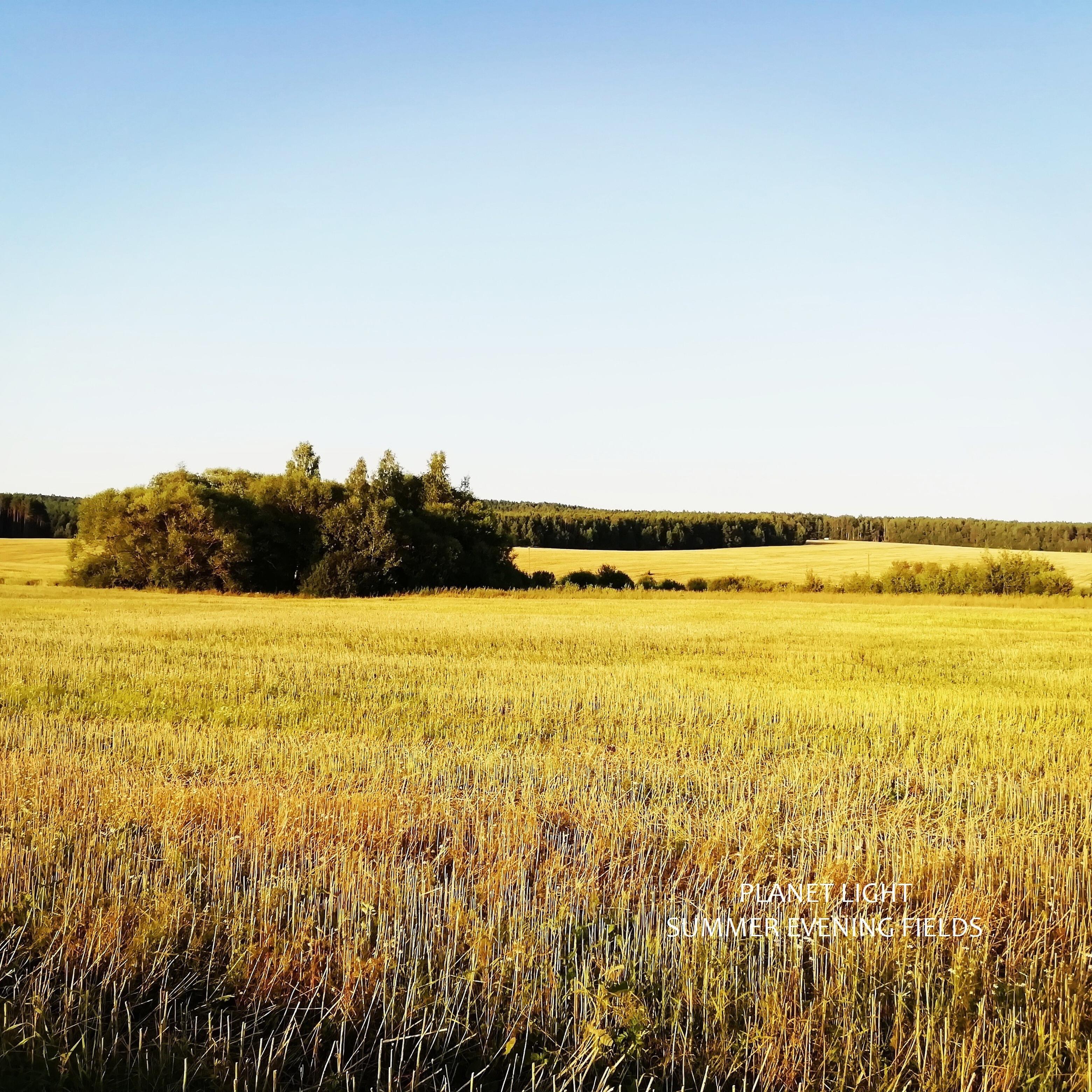 Релиз Summer Evening Fields