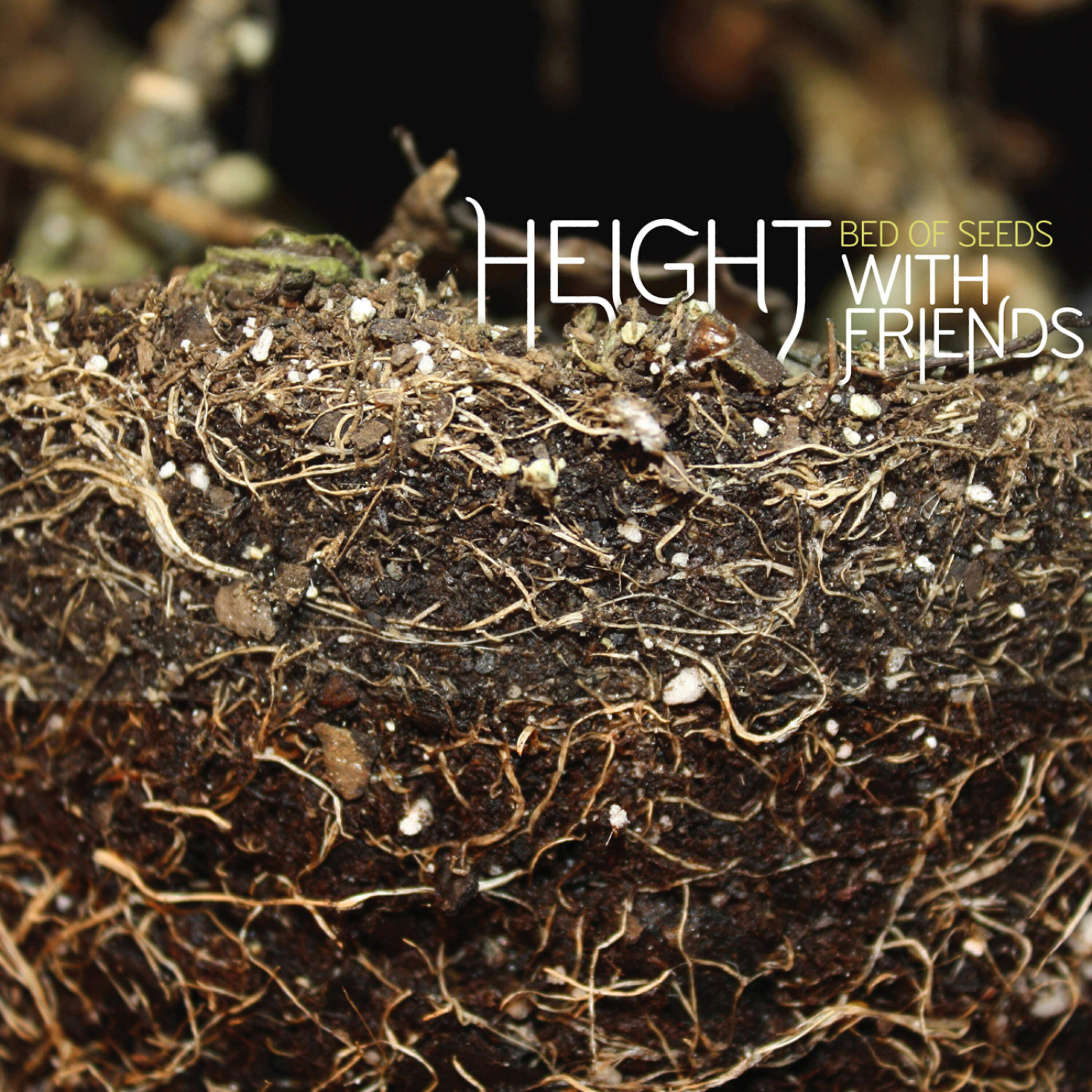 Релиз Bed Of Seeds