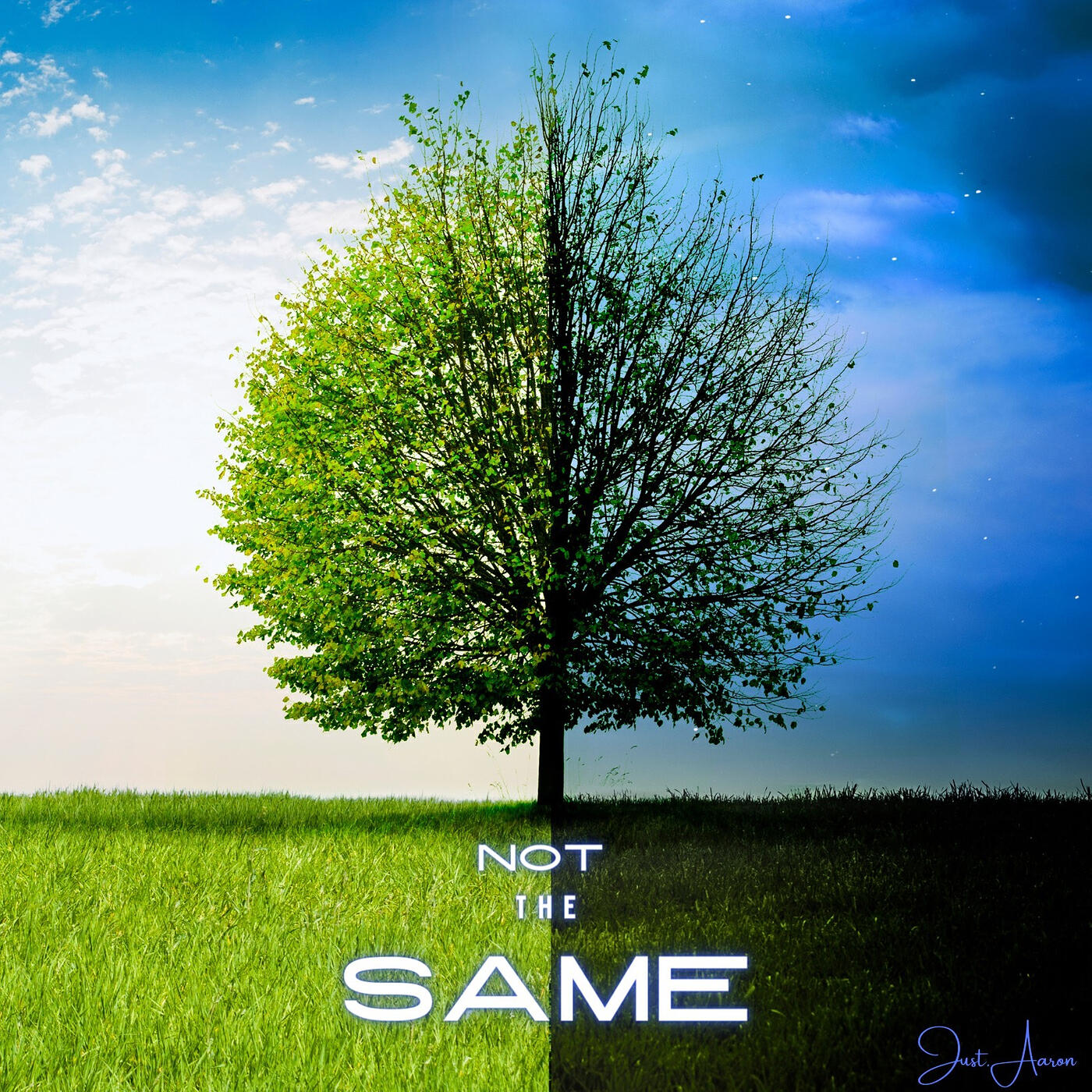 Релиз Not the Same