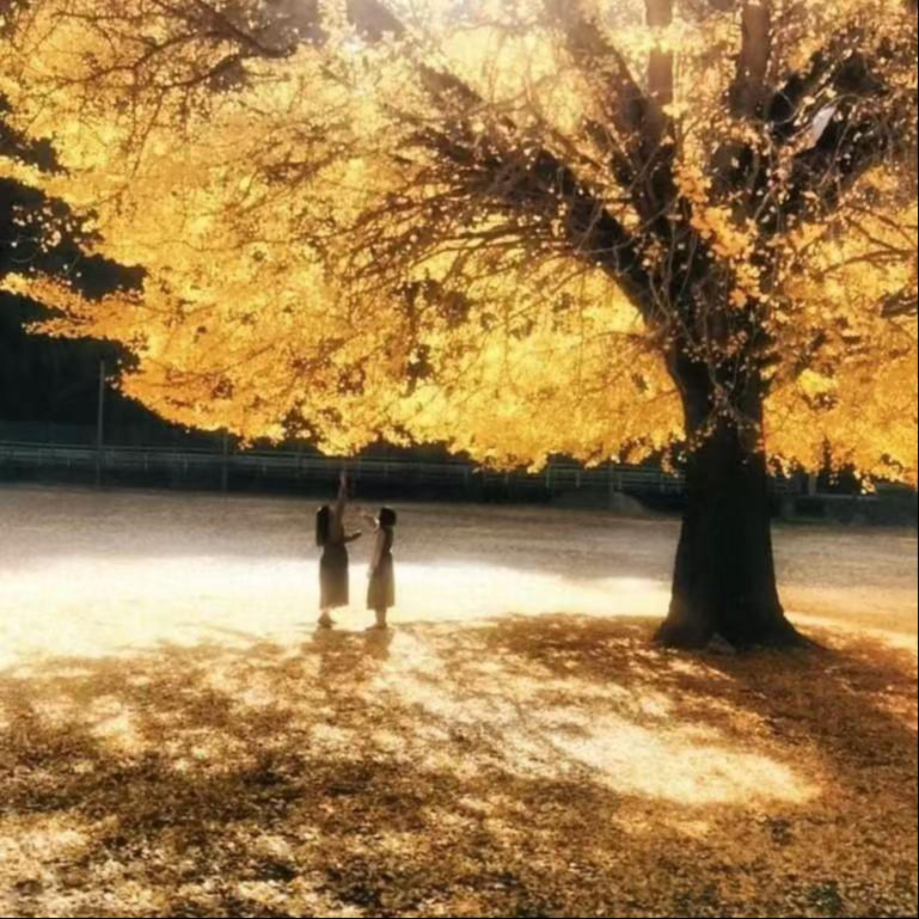 Релиз 微妙距离