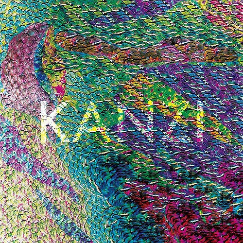 Kanzi