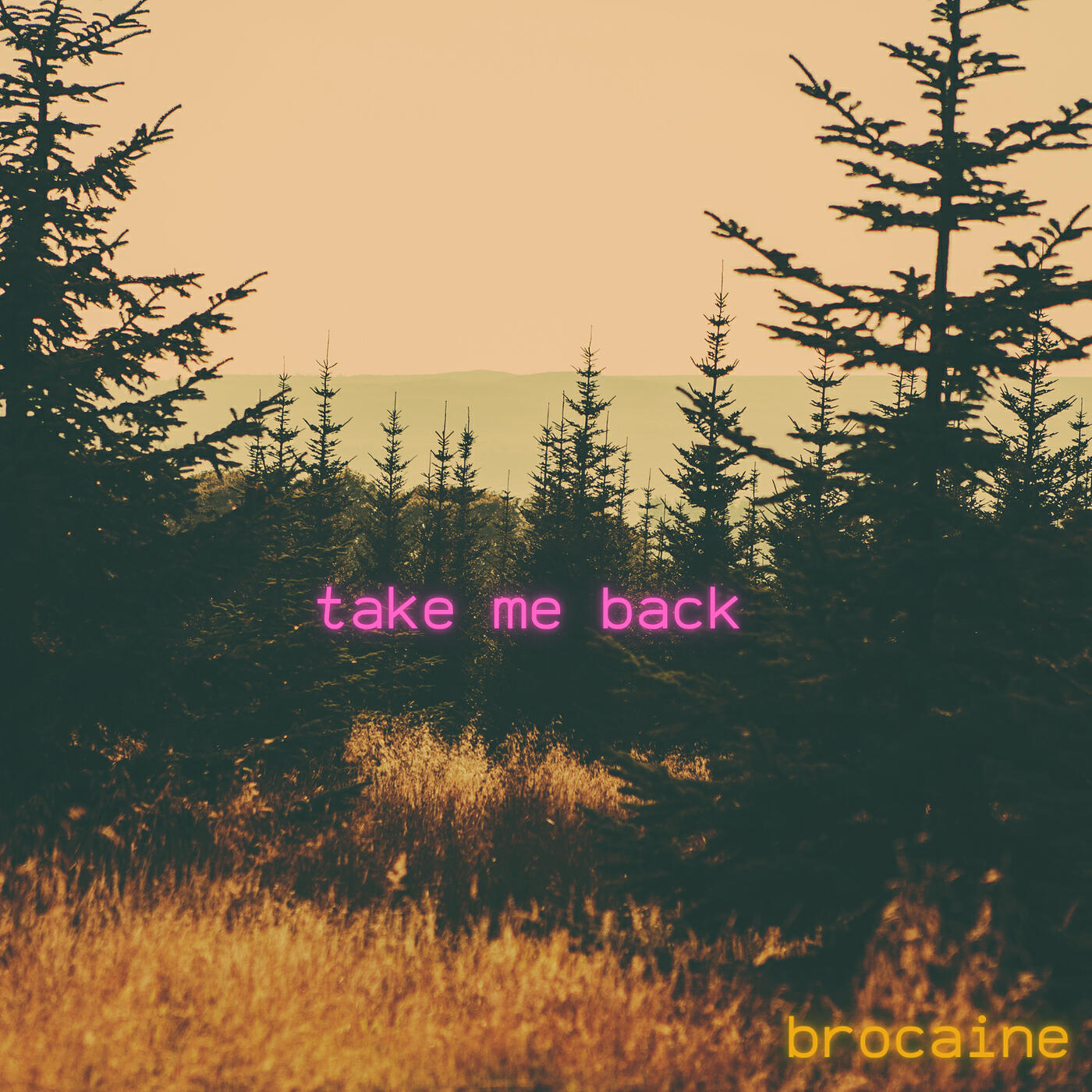 Релиз Take Me Back