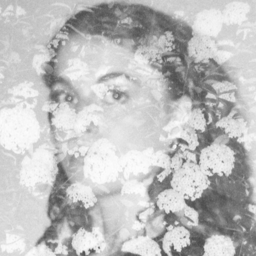 Релиз DET BLOMMAR HÄR (IGEN)