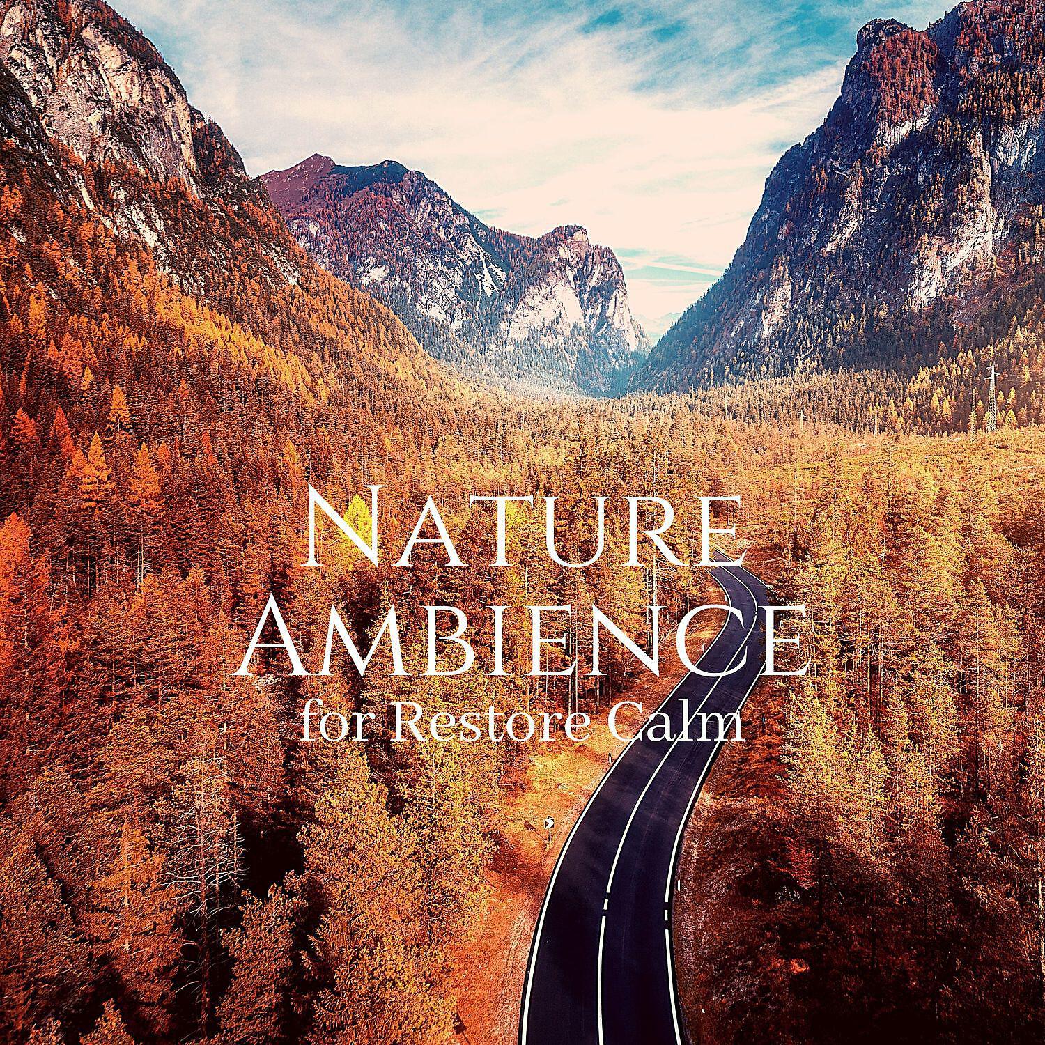 Релиз Nature Ambience for Restore Calm - Relaxing Stress Relief Meditation, Easy Sleep Music
