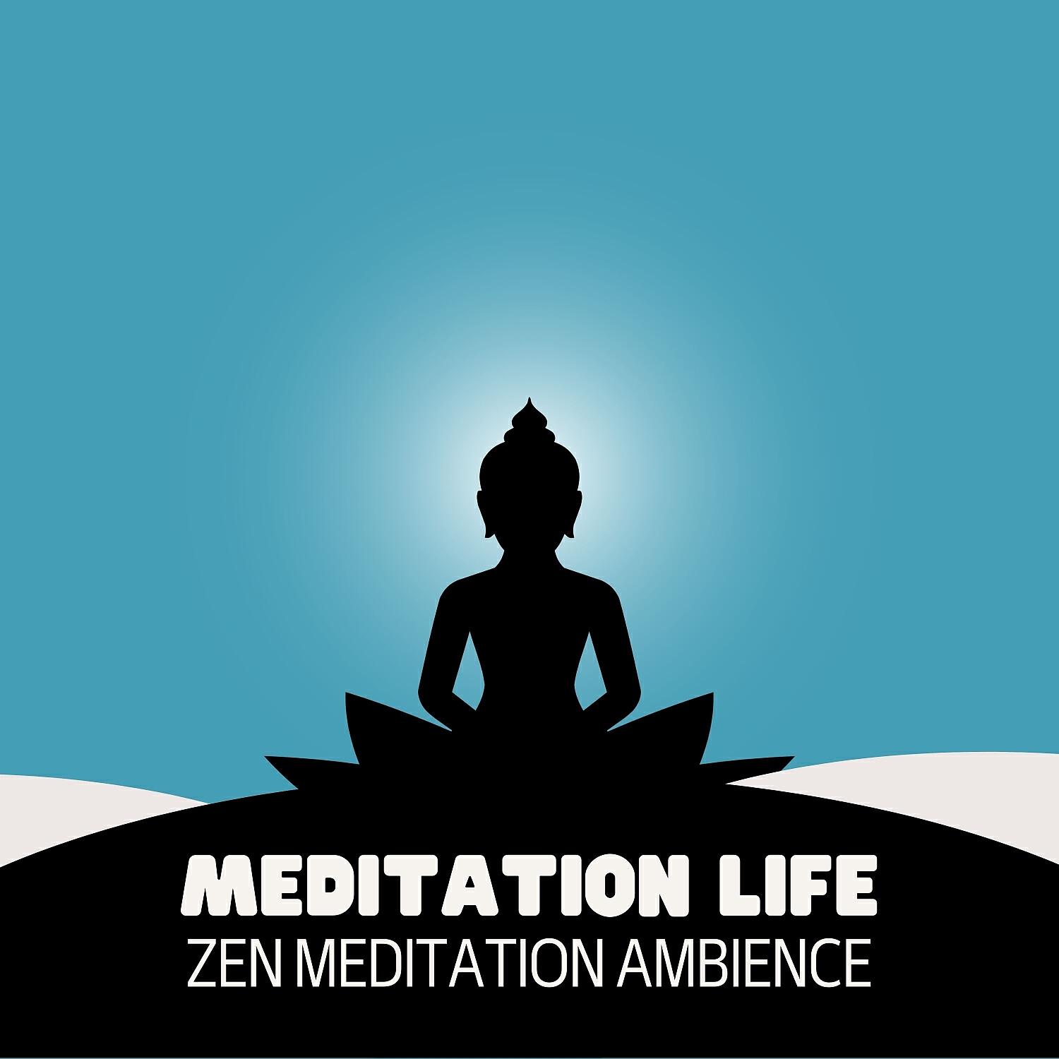 Релиз Meditation Life