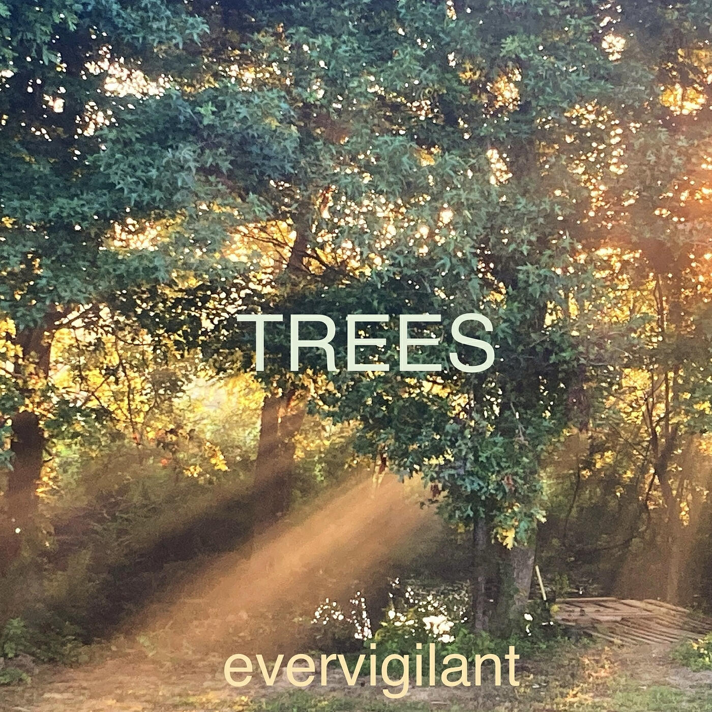Релиз Trees