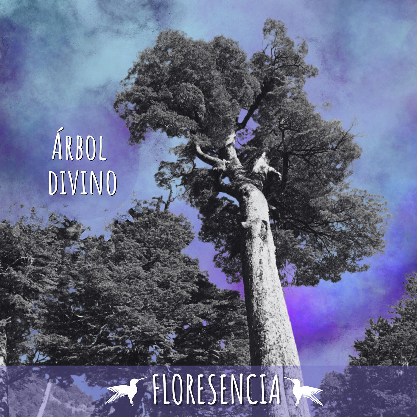 Релиз Arbol Divino