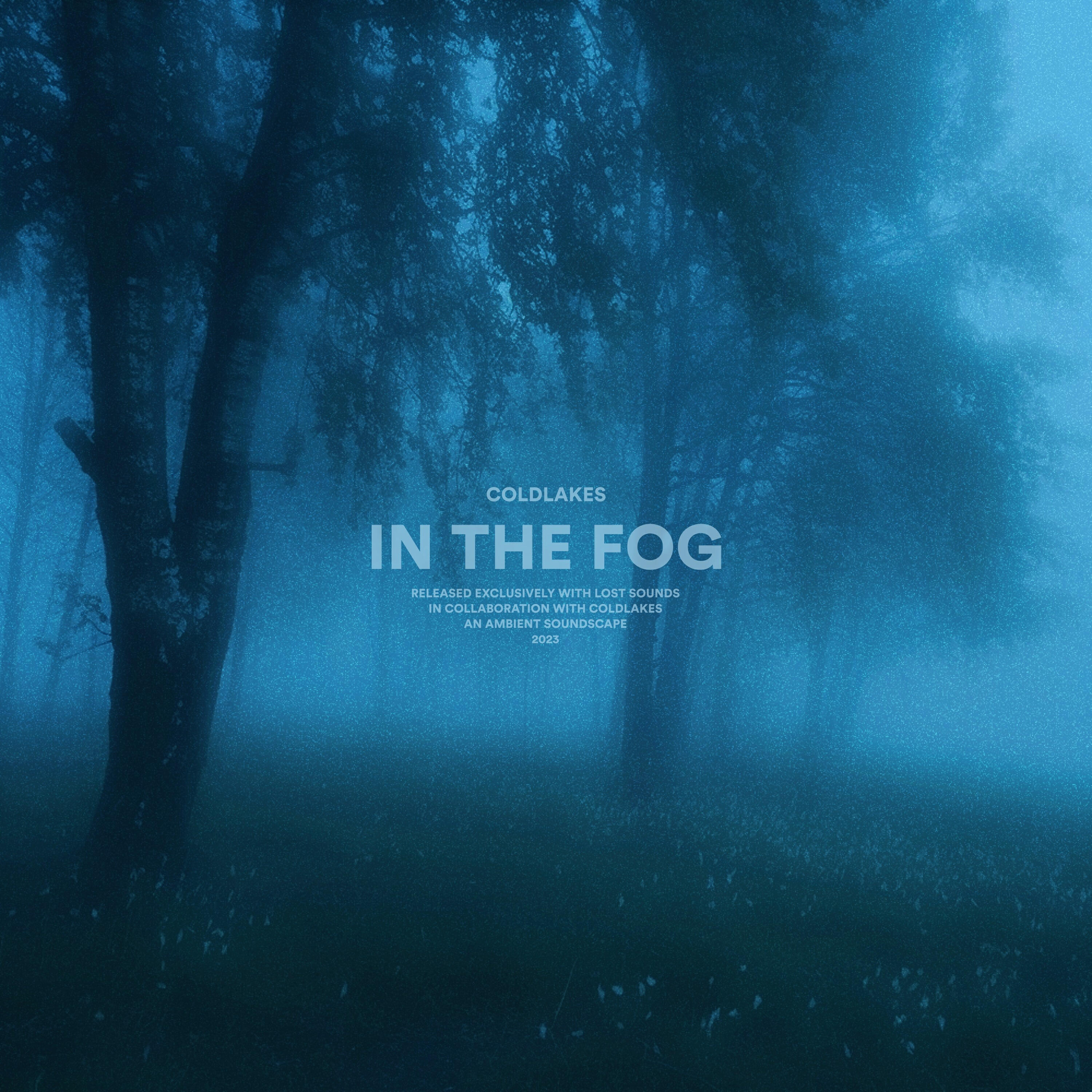 Релиз in the fog