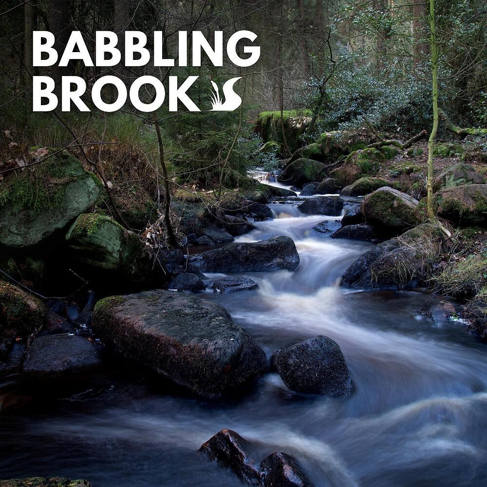 Релиз Babbling Brook