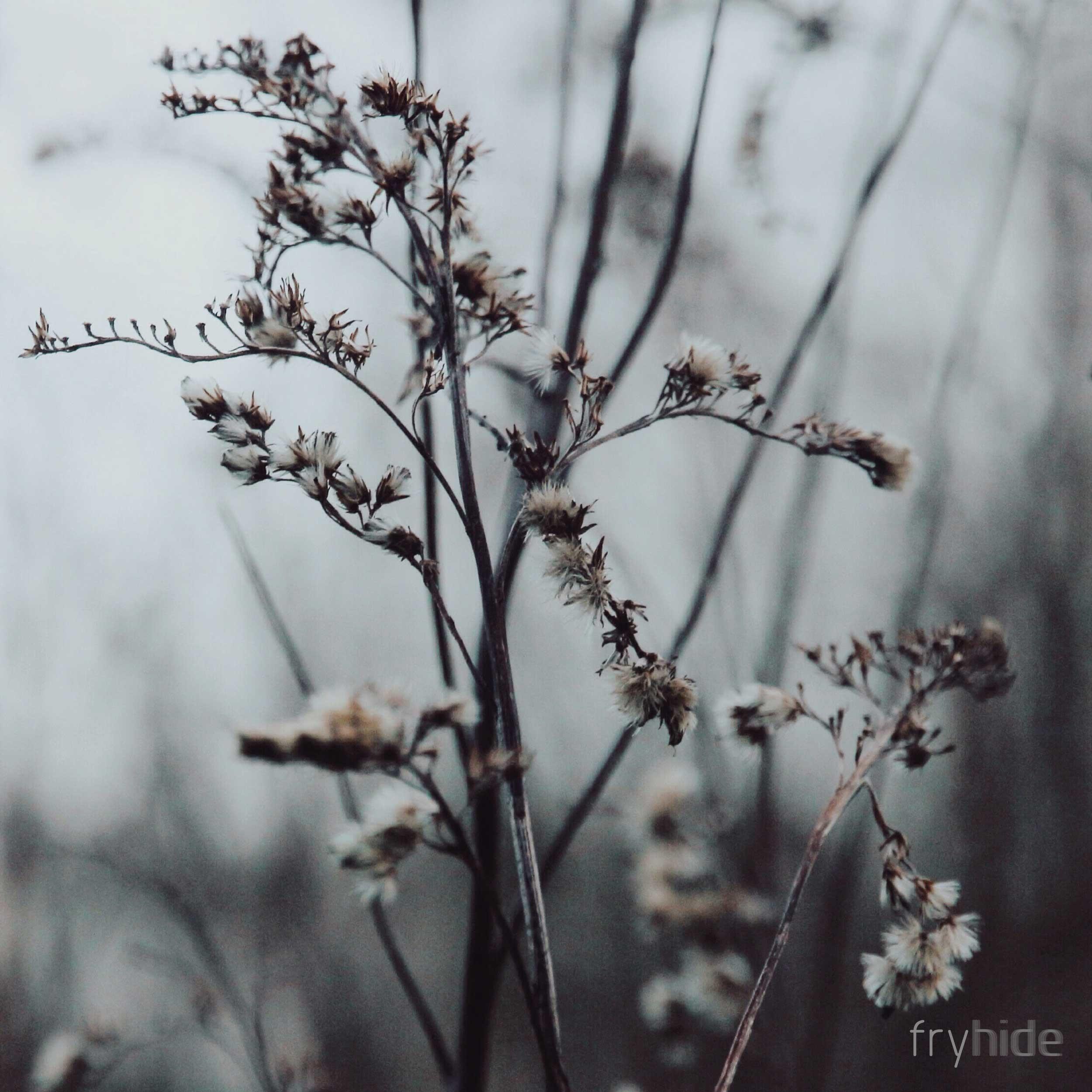 Релиз Reality EP