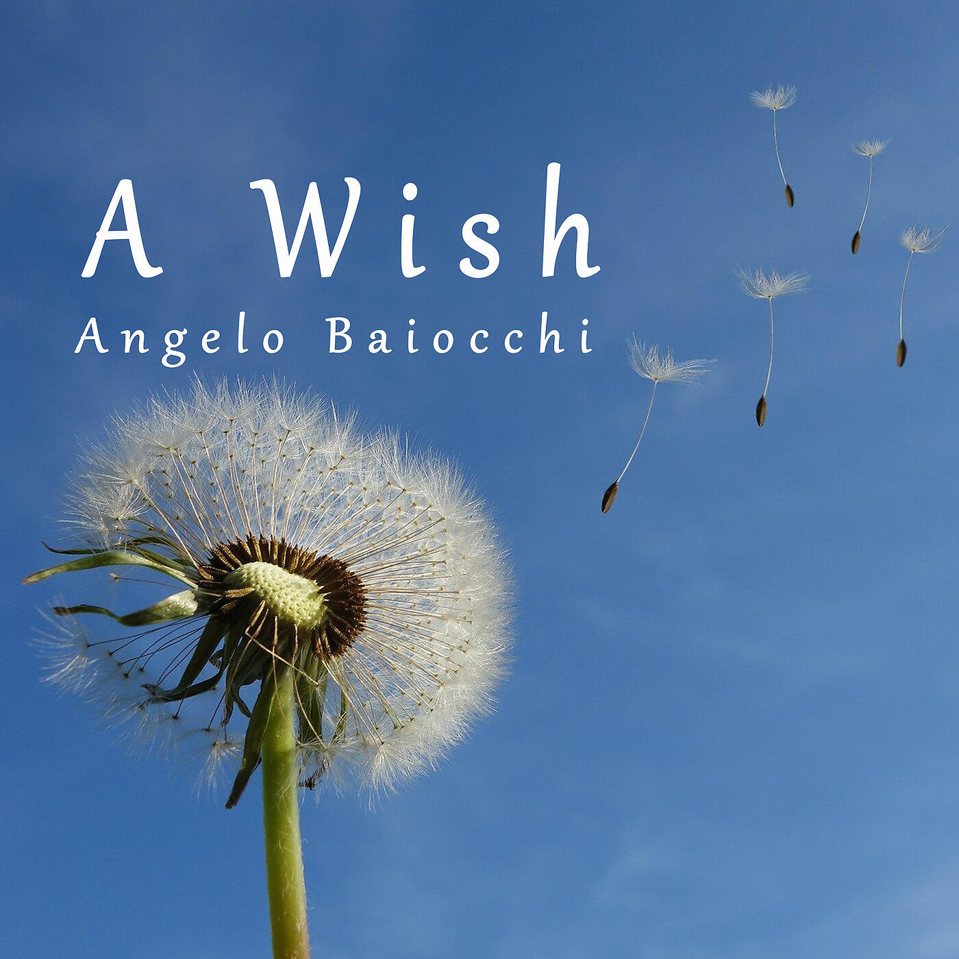 Релиз A Wish